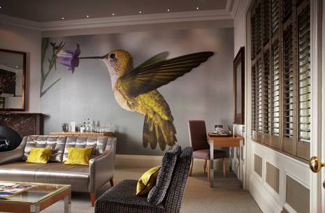 Alexander Hotels Group