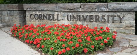 IDeaS Awards 2021 Cornell Revenue Management Sponsorships