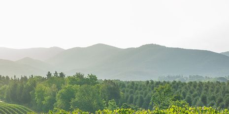 Infor Provides Digital Transformation for the San Manuel Band of Mission Indians