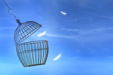 IDeaS Expands Innovative Pricing Approach with Independent Products