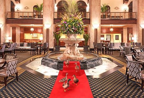 The Peabody Getting its Ducks in a Row via NEW Financial Budgeting & Forecasting Solution